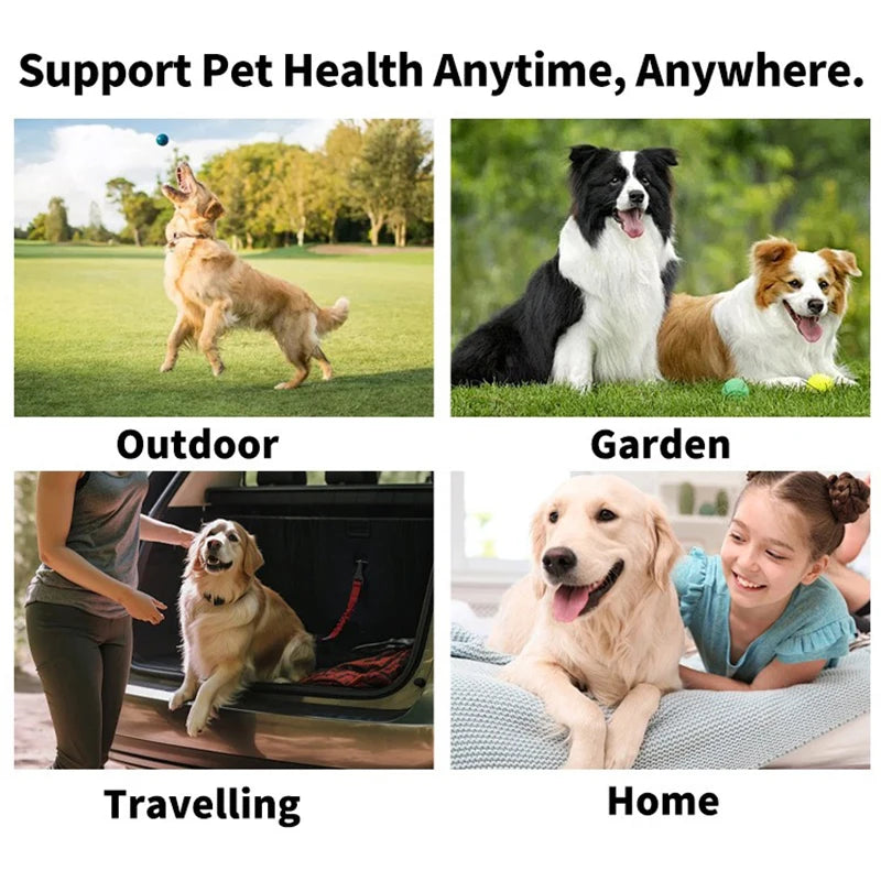 Cepillo de Dientes Desechable para Mascotas | Higiene Bucal para Perros y Gatos
