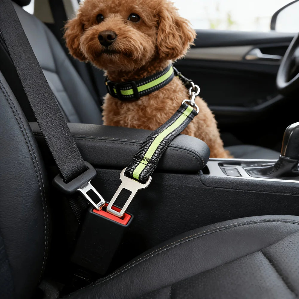 Cinturón de seguridad ajustable para mascotas en el coche
