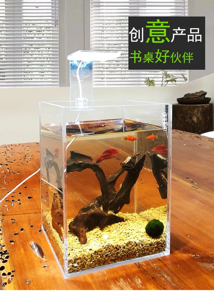 Acuario de acrílico personalizado para peces y tortugas
