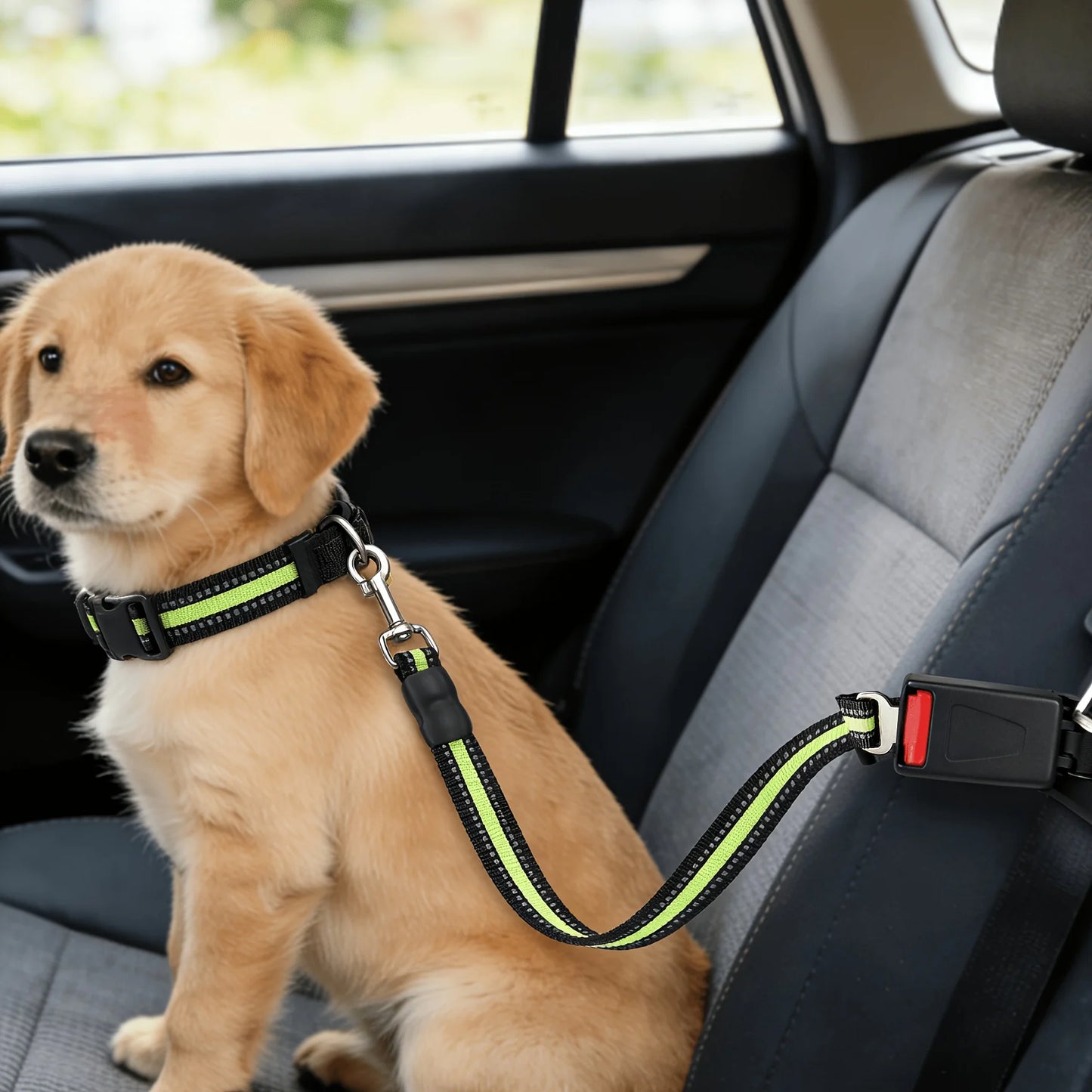 Cinturón de seguridad ajustable para mascotas en el coche
