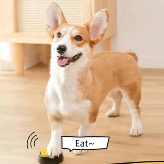 Botones de Comunicación para Mascotas 🐾 – Graba y Reproduce tu Voz para Entrenar a tu Perro o Gato