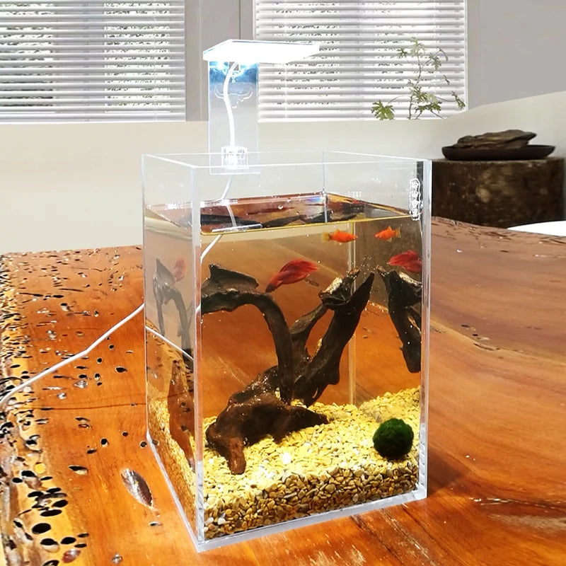 Acuario de acrílico personalizado para peces y tortugas
